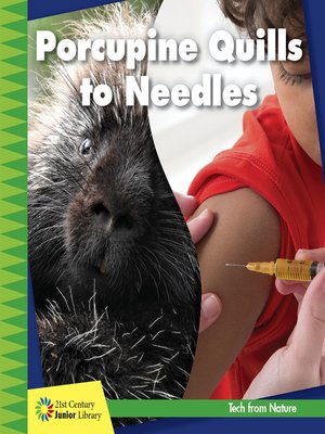 cover image of Porcupine Quills to Needles